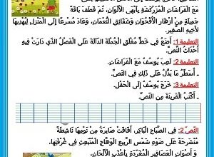 تمارين قراءة السنة الاولى