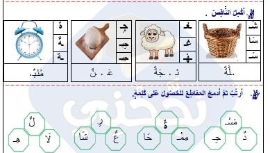 تمارين قراءة السنة الأولى ابتدائي