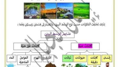 ملخص دروس الايقاظ الثلاثي الثالث سنة خامسة