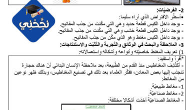 تمارين في الإيقاظ العلمي السنة السادسة