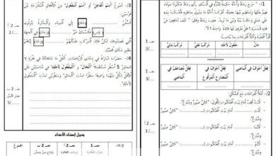 تقييم نهاية الثلاثي الثالث قواعد لغة سنة خامسة