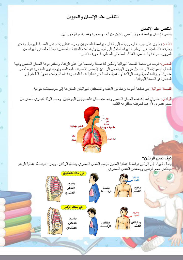 التنفس عند الإنسان والحيوان نجحني في إمتحاناتي ودراستي الإبتدائية الإعدادية والثانوية