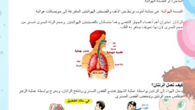 بحث السنة الثانية حول التنفس