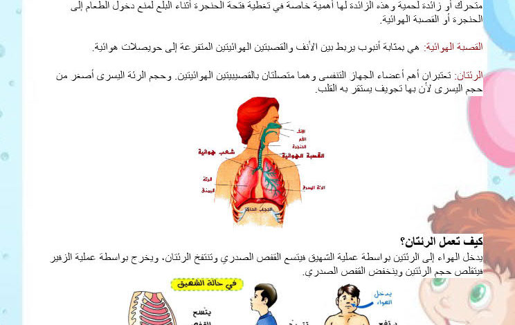 بحث السنة الثانية حول التنفس