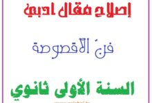 محور الأقصوصة الاولى ثانوي
