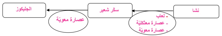 مكونات الافرازات الهضمية