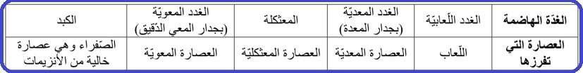 الإفرازات الهاضمة