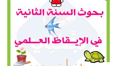 بحوث السنة الثانية