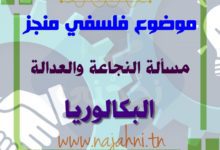 مسألة النجاعة والعدالة