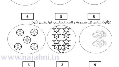 تقييم بداية السنة الدراسية السنة الأولى