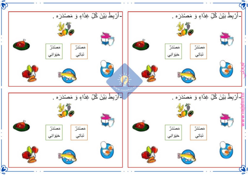 المصدر النباتي والمصدر الحيواني للغذاء