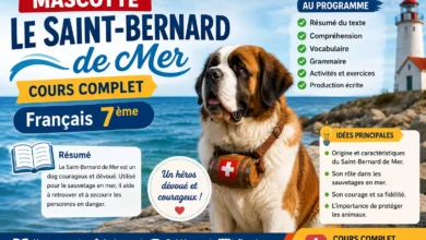 Mascotte – Le Saint-Bernard de Mer : Cours Complet Français 7ème