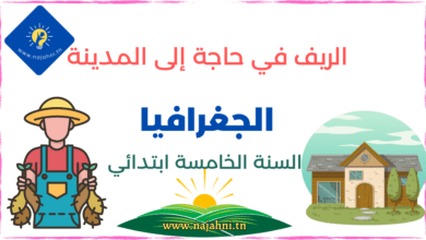 حاجة الريف إلى المدينة