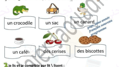 3ème année Unité 6 Français