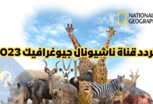 ترددات قناة ناشيونال جيوغرافيك أبو ظبي