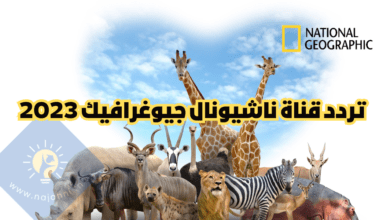 ترددات قناة ناشيونال جيوغرافيك أبو ظبي