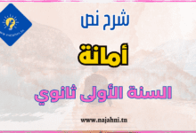 شرح نص امانة