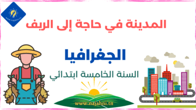 المدينة تحتاج إلى الريف