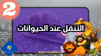 بحث حول التنقل عند الحيوانات