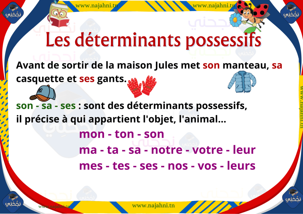 les déterminants possessifs