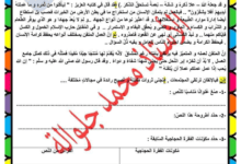 تقييم دراسة النص لتلاميذ السنة التاسعة أساسي محور العمل