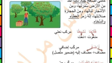 الجملة الاسمية و انواع المركبات السنة الرابعة