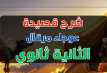 شرح قصيدة عوجاء مرقال