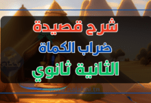 شرح نص ضراب الكماة