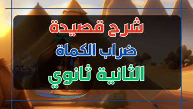 شرح نص ضراب الكماة