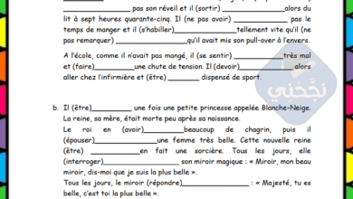 Série d'exercices français l'utilisation passé simple ou imparfait