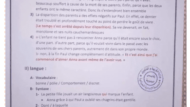 Devoir De synthèse N°1 Français avec correction 9 -ème année