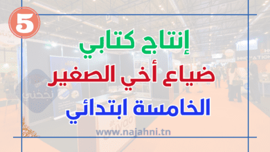 ضياع أخي الصغير