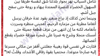 إنتاج كتابي حول أهمية الشجرة