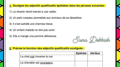 L'adjectif épithète et l'adjectif attribut