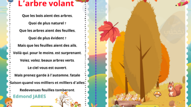 Poème l’arbre volant livre de lecture 6 ème