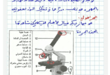 تلخيص درس تنوع الكائنات الدقيقة مع تمارين تطبيقية بالاصلاح