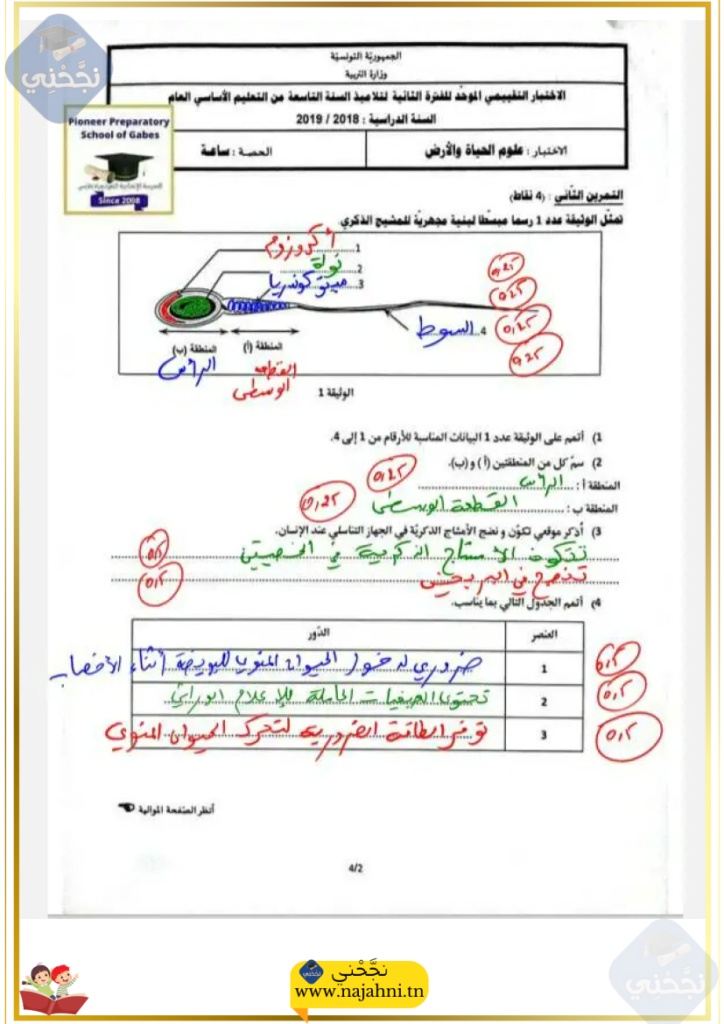 فرض موحد وتمارين الثلاثي الثالث علوم الأرض والحياة التاسعة أساسي