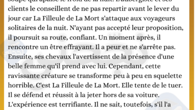 Résumé : une étrange rencontre
