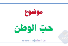 حب الوطن