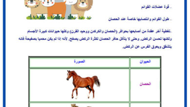 بحث حول أنواع التنقل عند الحيوانات