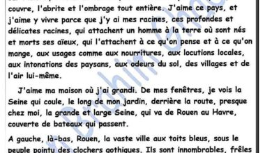 Devoir de contrôle n3 Français