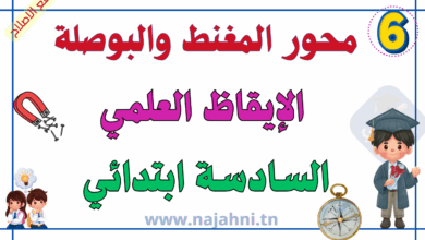 محور المغنط والبوصلة : إيقاظ علمي سنة سادسة ابتدائي