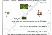 امتحان ايقاظ 2025 سنة خامسة الثلاثي الثالث