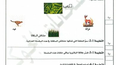 امتحان ايقاظ 2025 سنة خامسة الثلاثي الثالث