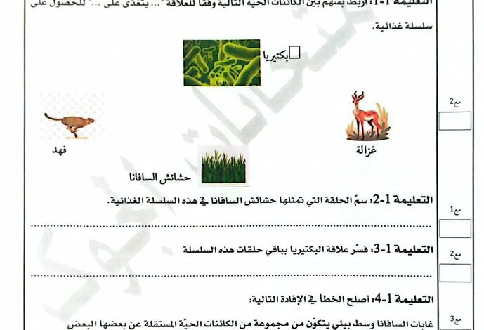 امتحان ايقاظ 2025 سنة خامسة الثلاثي الثالث