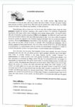 Devoir de synthèse n3 Français 7ème année avec correction