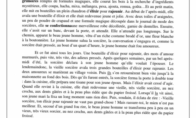 Devoir de synthèse n3 Français 7ème année avec correction