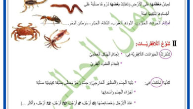 درس تنوع اللافقريات وتصنيفها - علوم الحياة والأرض 7 اساسي