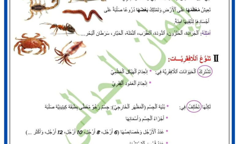 درس تنوع اللافقريات وتصنيفها - علوم الحياة والأرض 7 اساسي