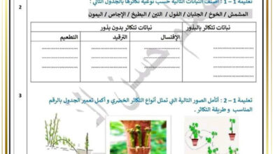 امتحان الثلاثي الثالث في الايقاظ العلمي سنة رابعة